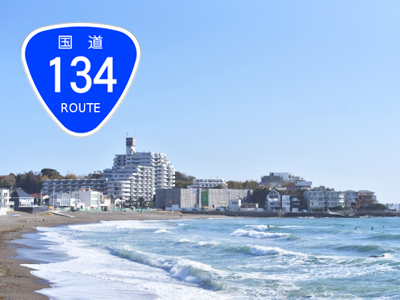 国道134号,海岸線